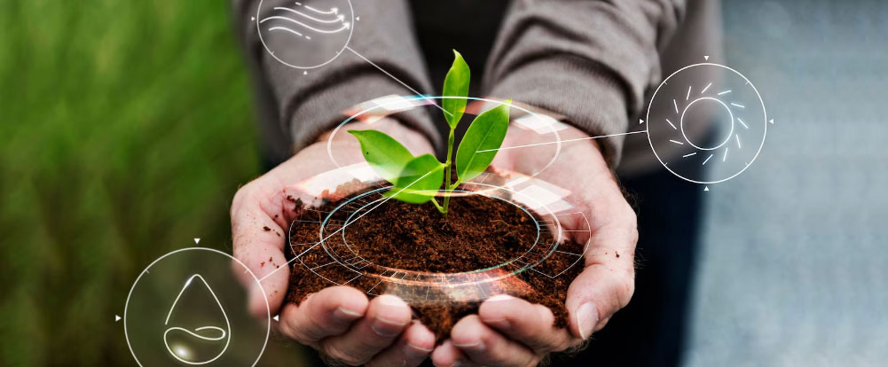 “Bio Fertilizers: Nurturing Plants with Nature’s Allies”